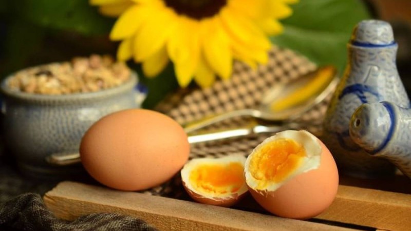 Жұмыртқаның зияны - ғылыми зерттеу