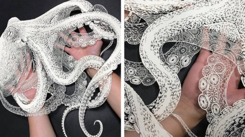 Скальпельмен ойылған суреттер - Суреттер сөйлейді - Bilim