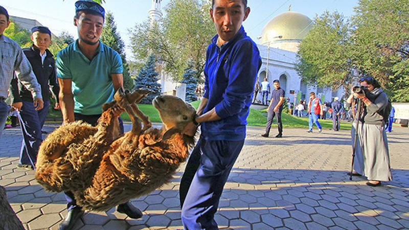 Құрбан айт - 2019: мешітте құрбандық шалу шарттары қандай