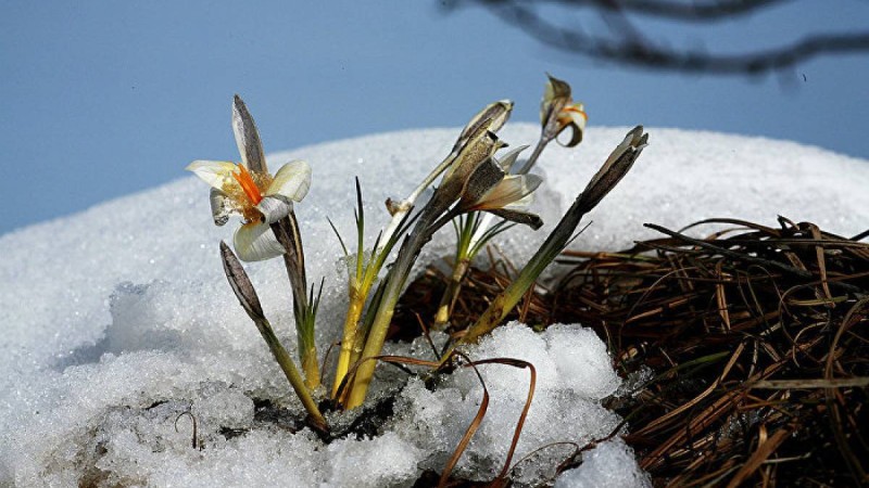 28 ақпан мен 2 наурыз аралығында ауа райы қандай болады
