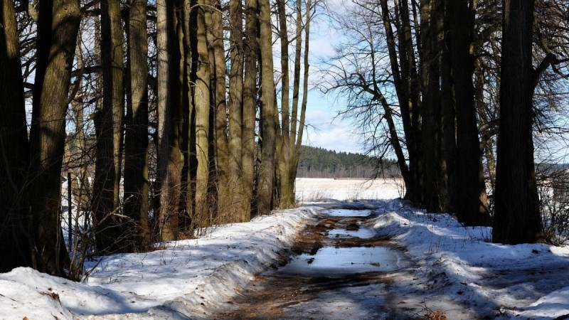 Қазақстанда 18 градусқа дейін күн жылынады
