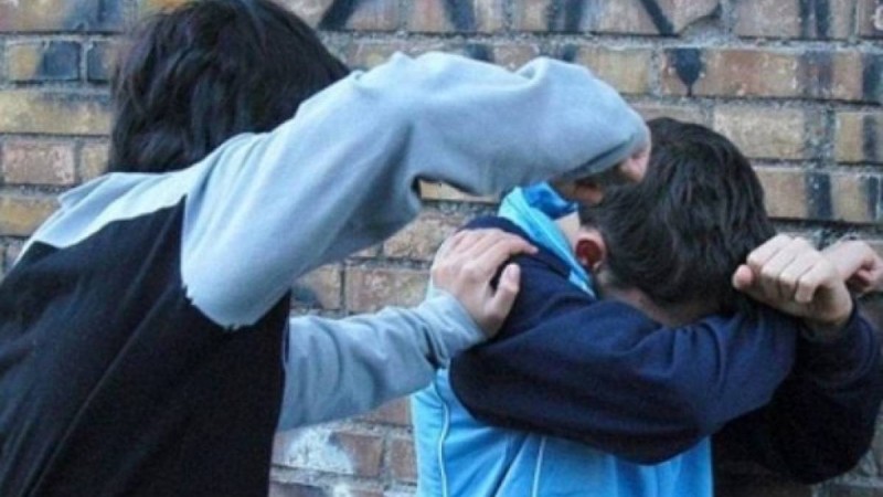 14 жасқа толмағандарды да соттау керек. Ішкі істер министрлігі осындай бастама көтерді