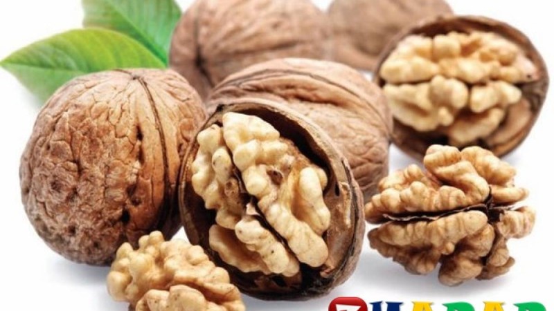 Жаңғақ өттегі тасты түсіреді