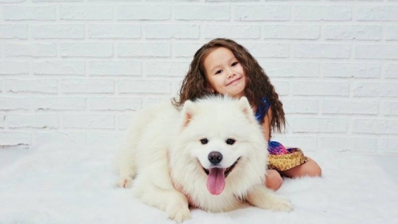 Балаңыздың ойын біле жүріңіз