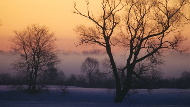 Қостанай облысында екі әйел үсіп өлді