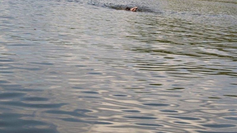 Қарағанды облысында шомылып жүрген бірнеше қыз суға батып кетті