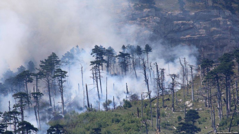 Былтыр Қазақстан ормандарында 121 гектарға жуық жер өртенген