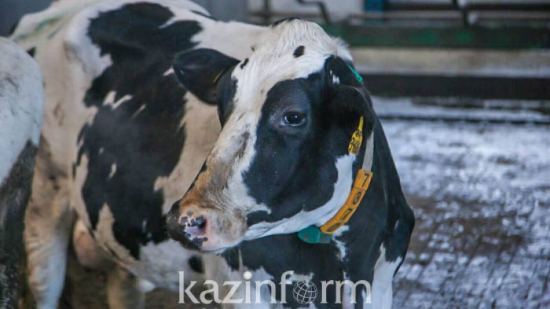 «Сыбаға» бағдарламасының талаптары өзгертілді