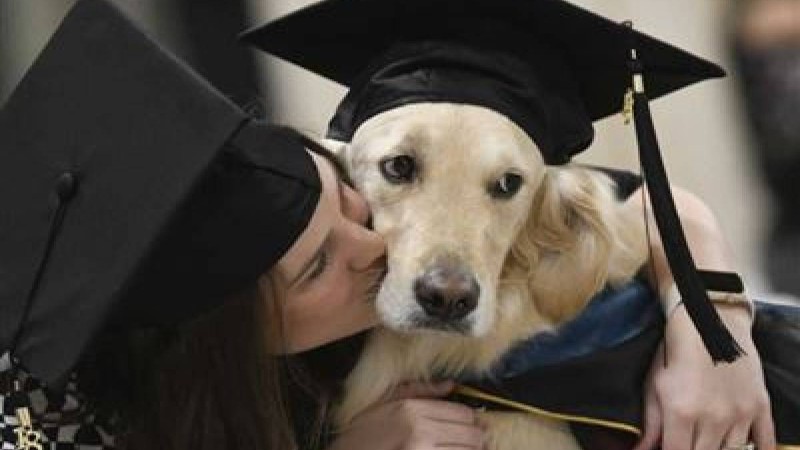 Университеттердің бірінде ит магистр дәрежесін алды