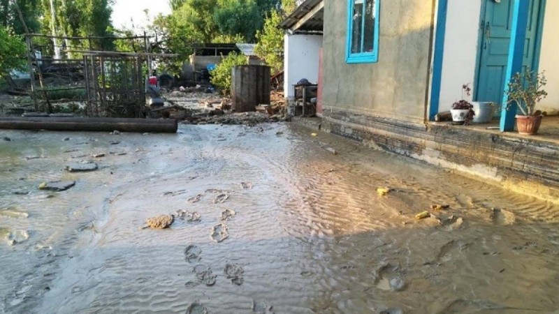 Алматы облысында бүтін бір ауылды су басып қалды (видео)
                                Жауын салдарынан арық жүйесінің суы арнасынан асып кетті