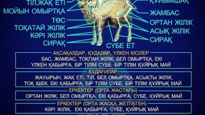 Табақ тартуды білеміз бе