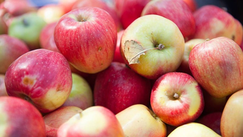 Қытай иероглифі жазылған алма қазақстандықтарды шошытты