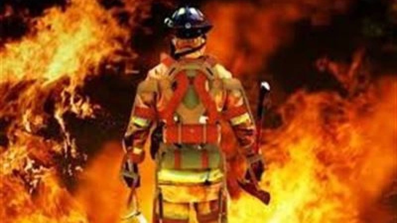 Түркістан облысында жалған өрт сөндірушілер дүкендерді тонап келген