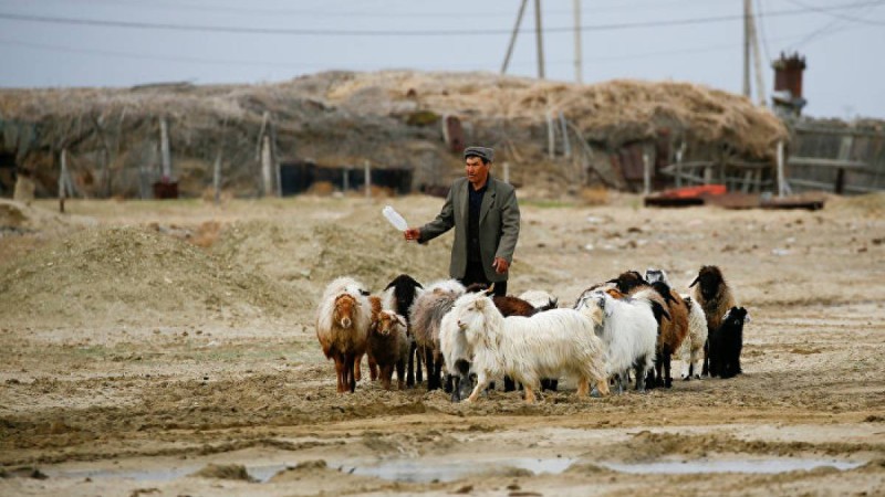 президент ауылдардың әлеуеті жайлы сөз қозғады