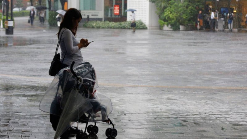 көпбалалы аналардың проблемасын заңға сәйкес шешу қажет