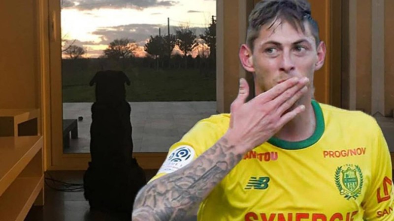 Ұшақтан апат болған футболшыны иті әлі күтіп жүр