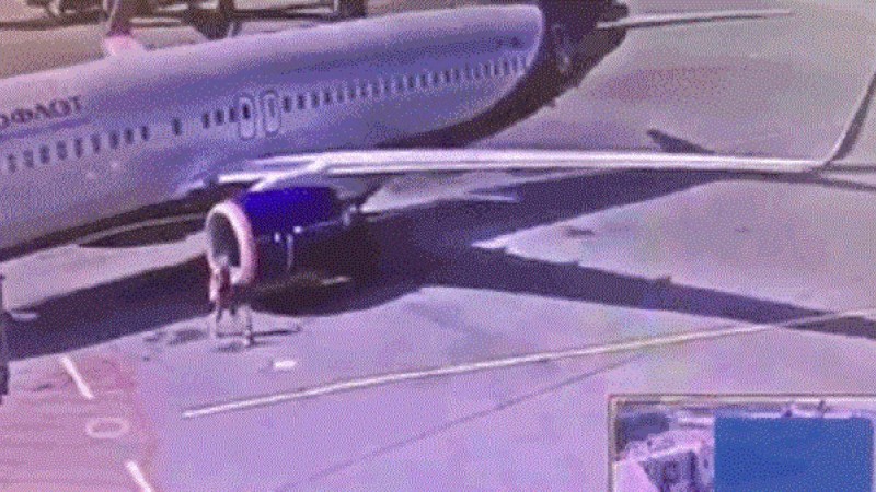 ​Әуежай қызметкері ұшақтың дабыл жүйесін басып, жұмысынан айырылды