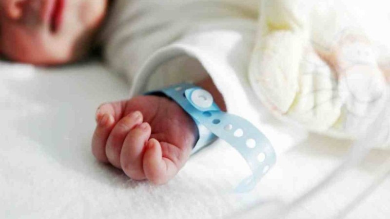 Атырау перзентханасының 31 қызметкері жұмыстан кету туралы өтініш жазды
Облыстық әкімдік: Олар өз орнында қалады