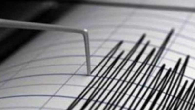 Алматыға таяу маңда жер сілкінісі болды