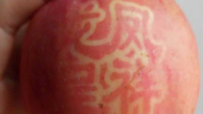 Қытайлық жазулары бар алмалар қазақстандықтарды шошытты - Қазақстан жаңалықтары