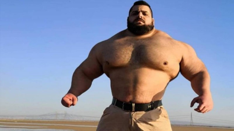 Ирандық Халк пен бразилиялық Халк MMA ережесі бойынша төбелеседі