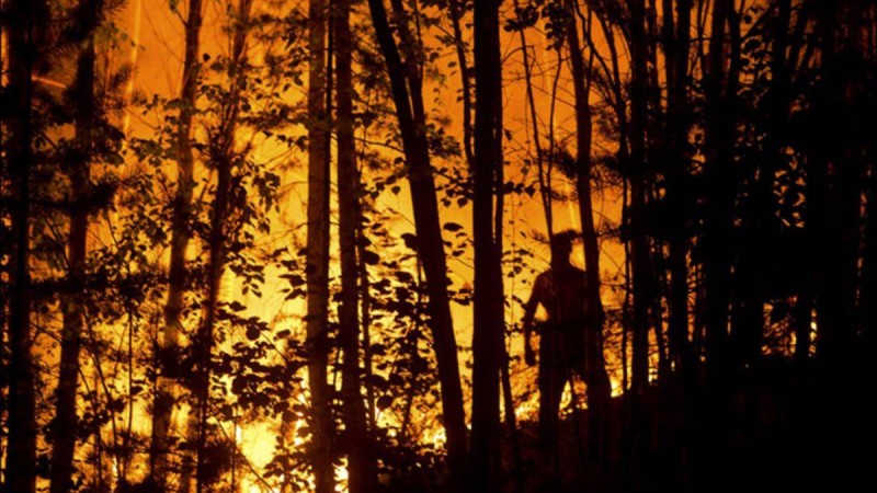 тұрғындар төтенше жағдай тәртібін енгізуді сұрайды