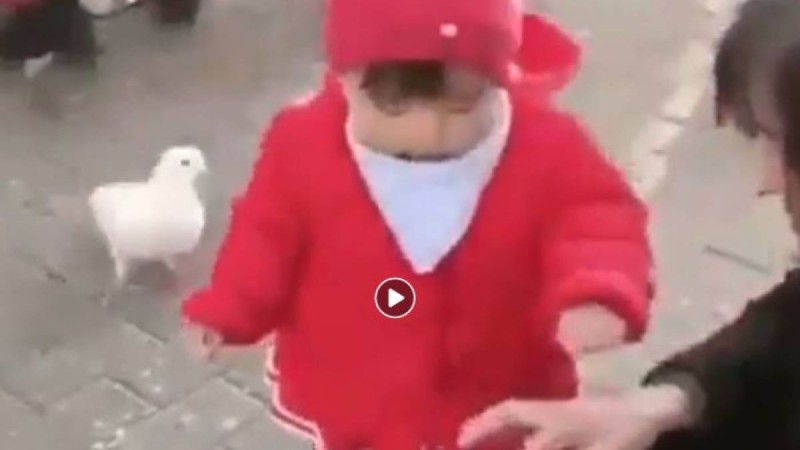 Маленькая да удаленькая! Очень смешное видео.