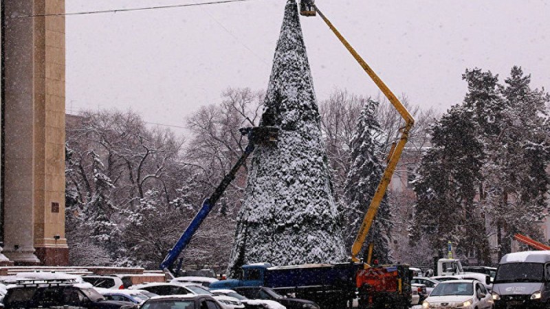 Бес метрлік шырша кішкентай баланың үстіне құлап кетті – қорқынышты видео
