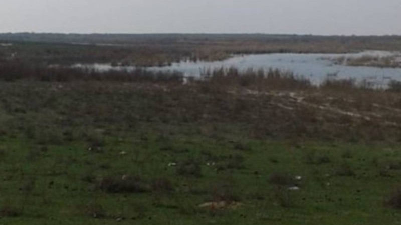 Өзбекстанмен шекарадағы Қоғалы тұрғындары "жер алмасуға" наразы