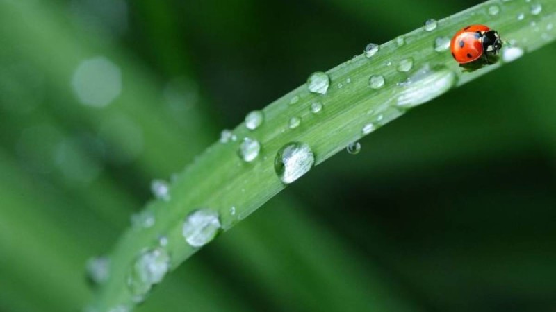 Дүйсенбіде Қазақстанда ауа райы қандай болады