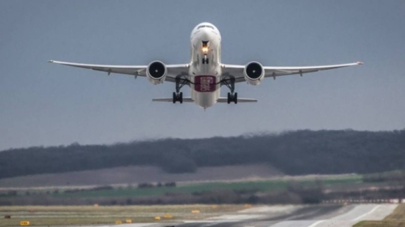 Қозғалтқышқа түскен құс ұшақты тоқтатты