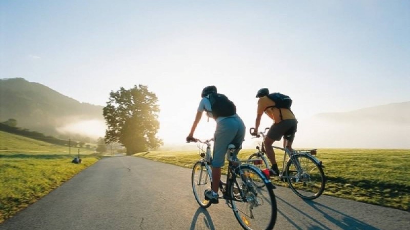 Велосипед тебудің адам ағзасына пайдасы мен зияны