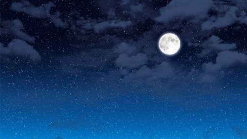 Лира Қоныс. "Айгүл" (әңгіме)