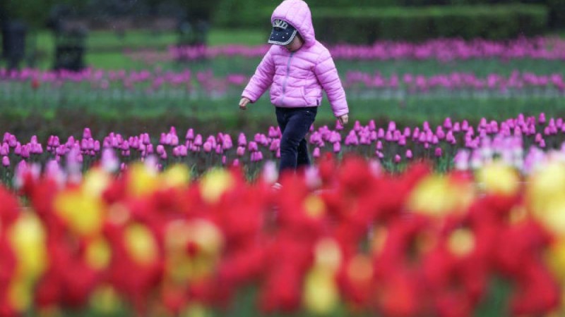 5 қазанда қандай іс-шаралар өтеді