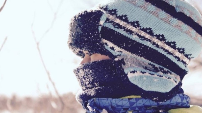 Павлодар, Қостанай және Семей мектептерінде сабақ тоқтатылды