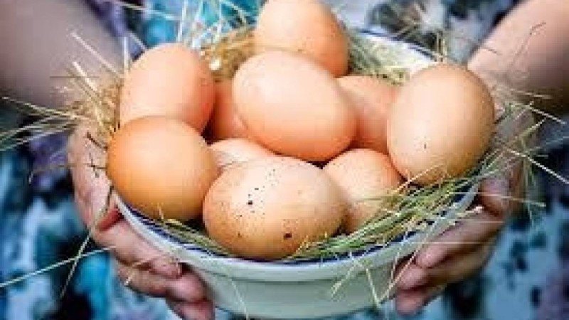 Жұмыртқаның адам ағзасына берер пайдасы мол екенін бұрыннан-ақ белгілі