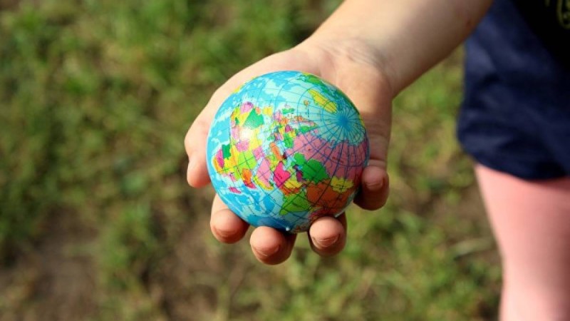 Халықаралық туризм және қонақжайлық университеті құрылды