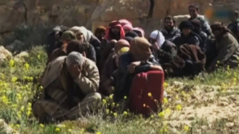 Сирияда 150 содыр өз еркімен берілді