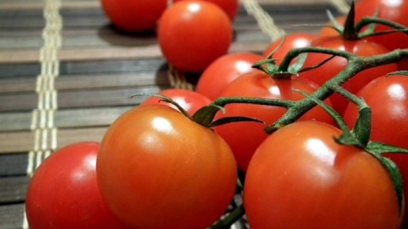 Қатерлі ісікке қарсы ең пайдалы тағам анықталды