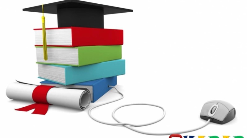 Курстық жұмыс: Анатомия | Қуық жүйесінің аурулары туралы түсінік