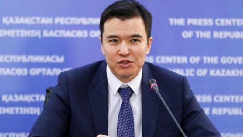 Көп балалы отбасыларға берілетін жәрдемақының жаңарған көлемі қашан нақтыланбақ