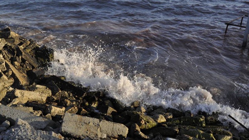 "Өзімізде бәрі бар" Назарбаев шетелге шыққысы келмейтінін айтты