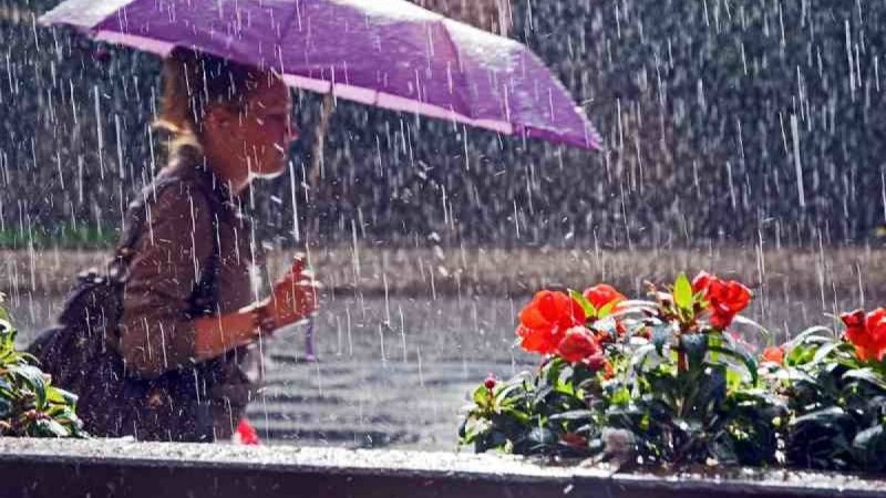 Жаңбыр жауып, жел күшейеді: Алдағы демалыс күндері ауа райы қандай болады
                                Синоптиктер ауа температурасы төмендейді деп болжап отыр