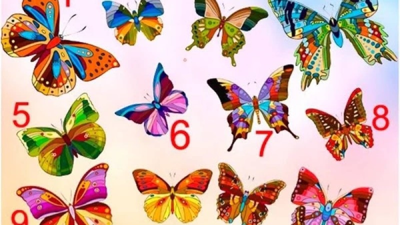 Психологиялық тест: Көбелектің бірін таңдап өзіңіз туралы сыр біліңіз