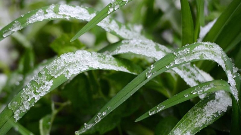 -12°С градус болады: алдағы үш күнге арналған ауа райы болжамы