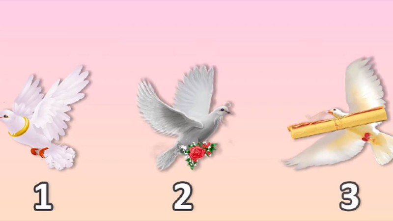 Психологиялық тест: Көгершіннің бірін таңдап, өзіңіз жайлы сыр біліңіз