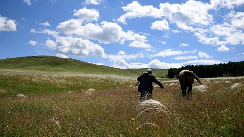 Күршім әкімі жер сатылып жатыр деген ақпаратқа қатысты мәлімдеме жасады