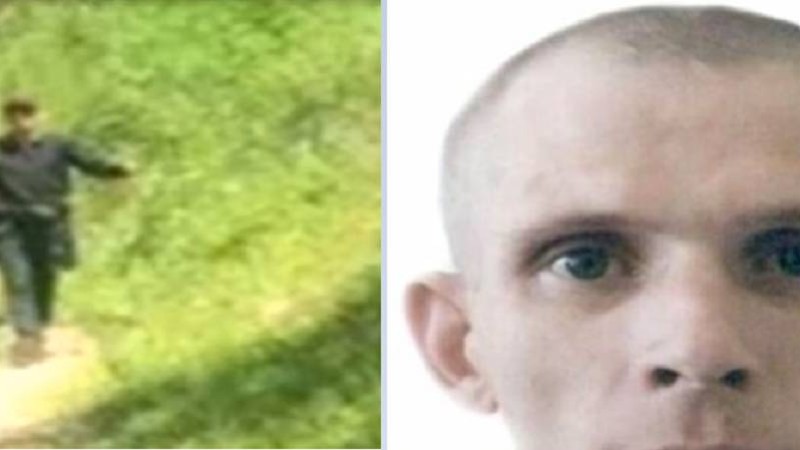 Матадан үй жасап тауа тұрған: Алматыда қыз-қырқынға қырғидай тиген маньяк ақыры ұсталды - Қазақстан жаңалықтары