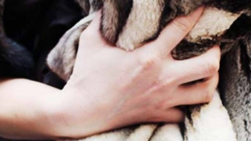 Алматы облысының полицейлері қолды болған ішіктерді тауып, иесіне қайтарды