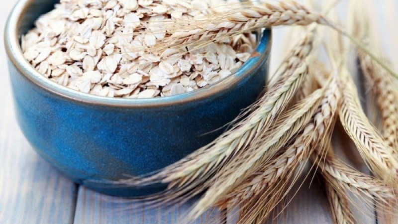 Cұлы және оның пайдасы |